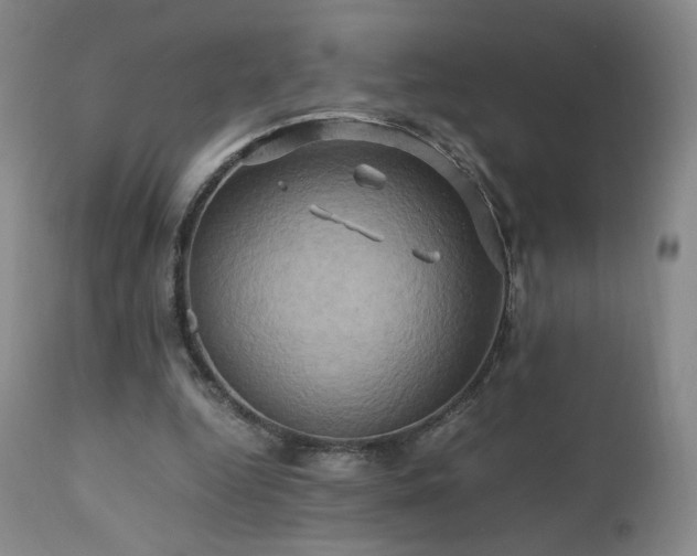 X0000110970344200906191341