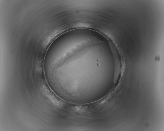 X0000110970345200906191341