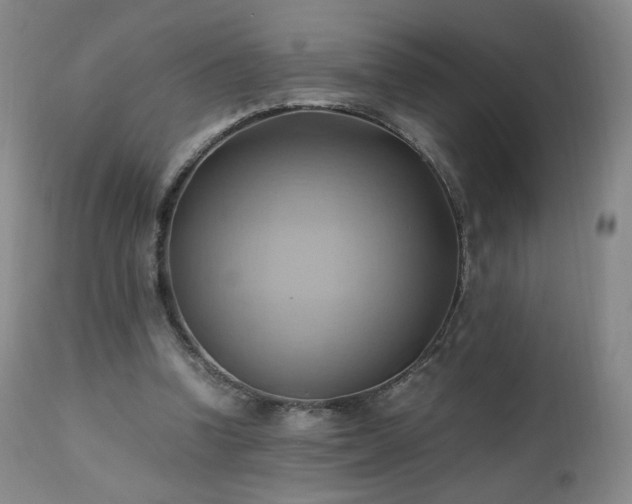 X0000110970346200906191341