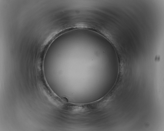 X0000110970347200906191341