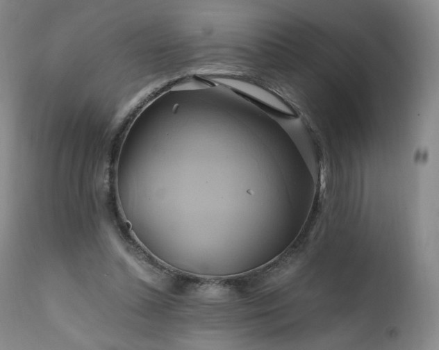 X0000110970348200906191341