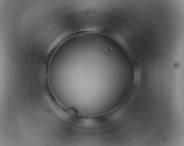 X0000110970349200906191341