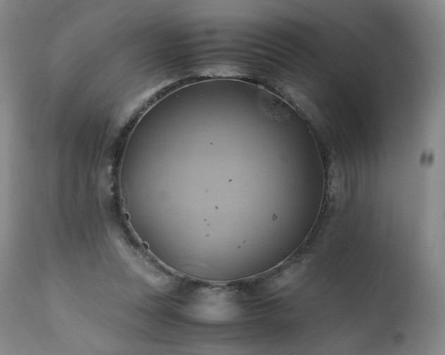 X0000110970351200906191341