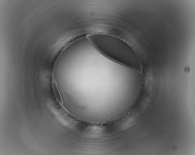 X0000110970352200906191341