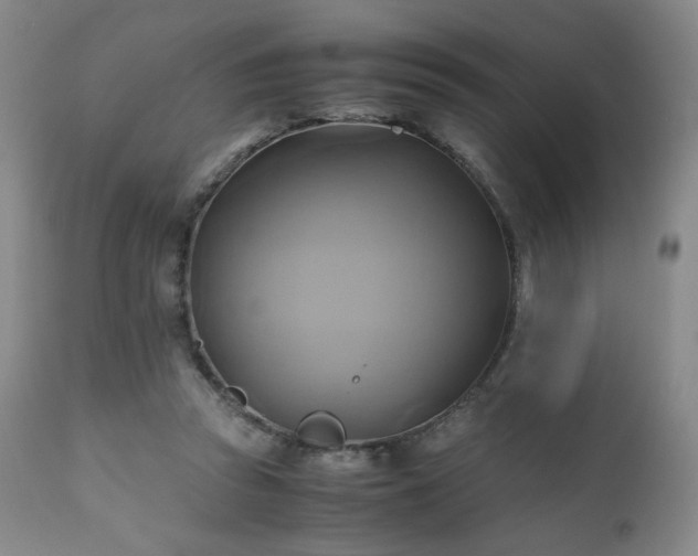 X0000110970353200906191341