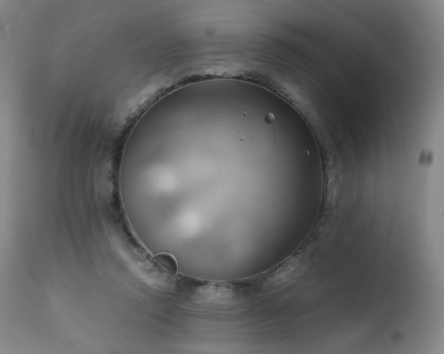 X0000110970354200906191341