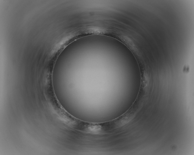 X0000110970355200906191341