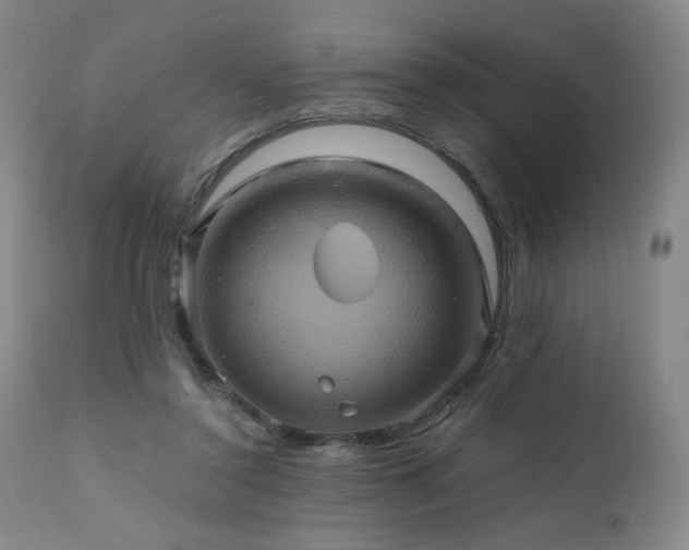 X0000110970356200906191341