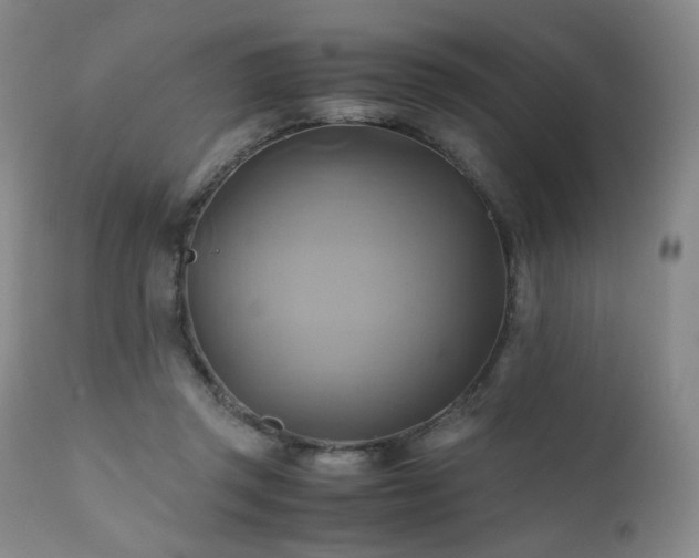 X0000110970357200906191341