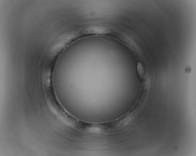 X0000110970358200906191341