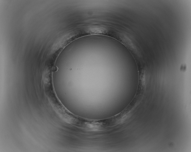 X0000110970359200906191341