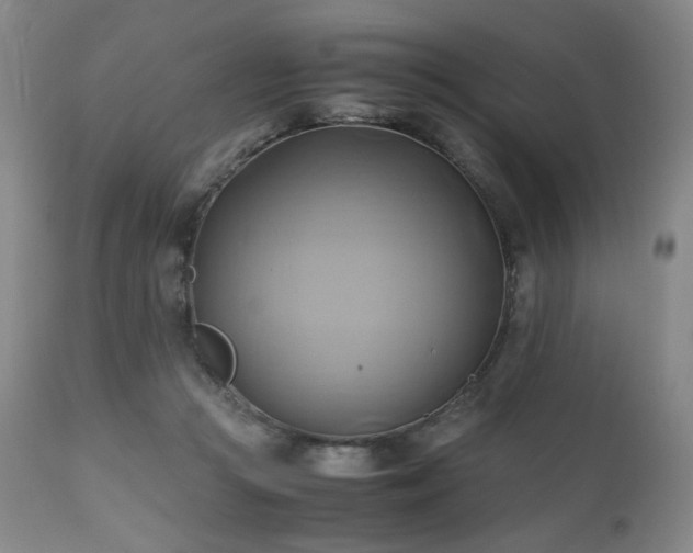 X0000110970361200906191341