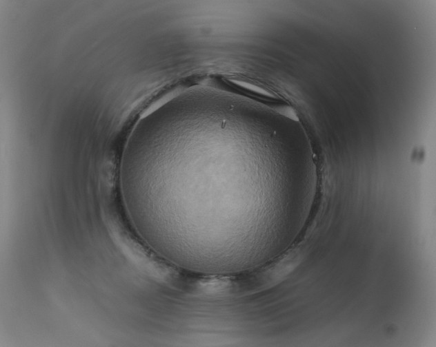 X0000110970362200906191341