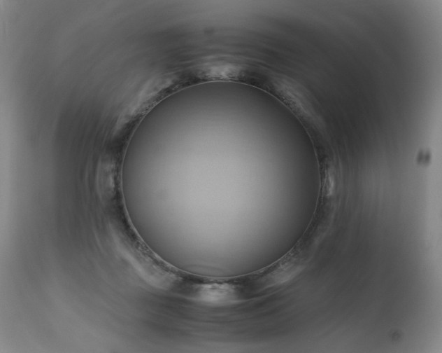 X0000110970363200906191341