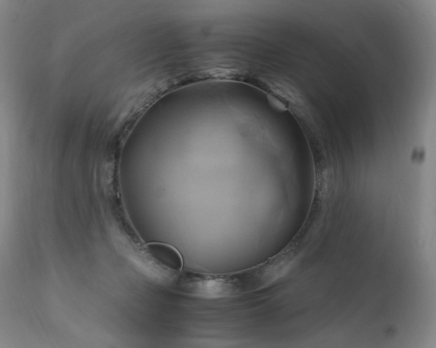 X0000110970365200906191341