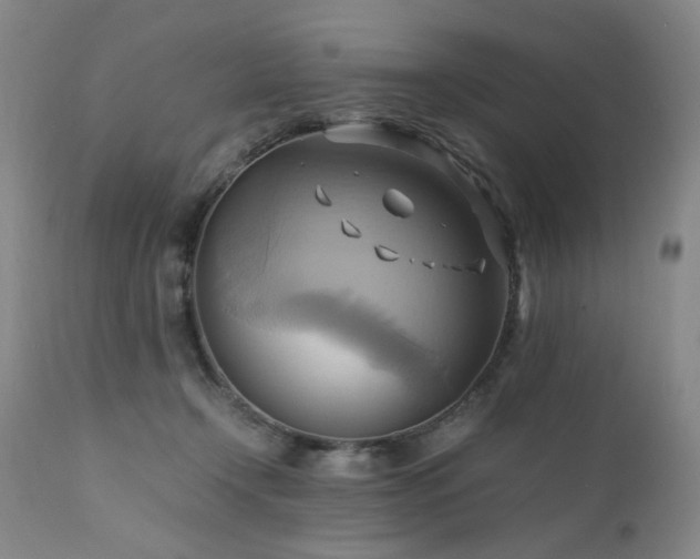 X0000110970366200906191341