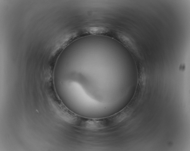 X0000110970367200906191341