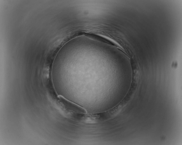 X0000110970368200906191341