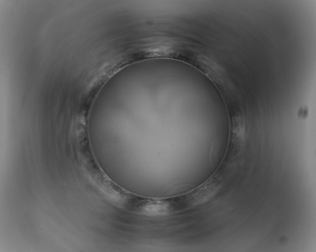 X0000110970369200906191341