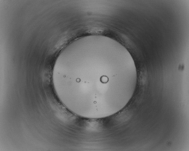 X0000110970370200906191341