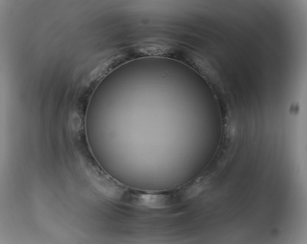 X0000110970371200906191341