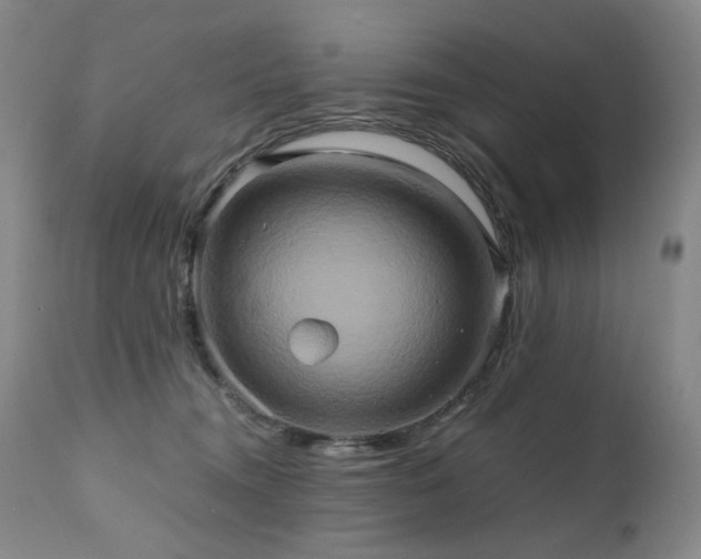 X0000110970372200906191341