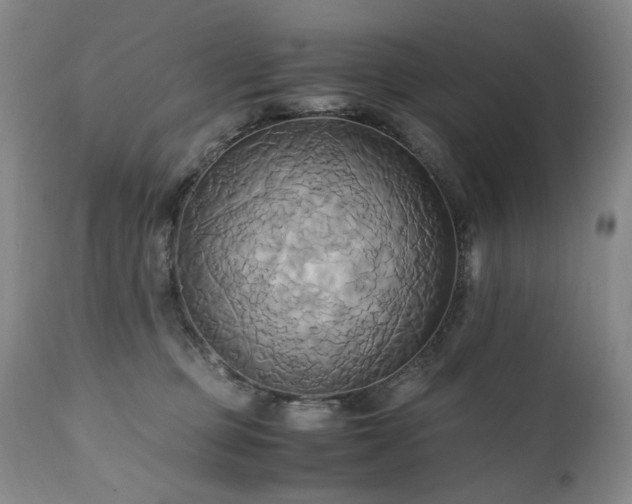 X0000110970373200906191341