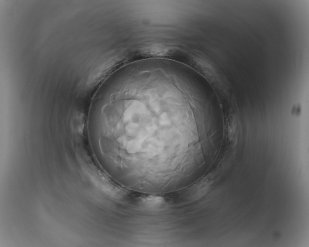 X0000110970374200906191341