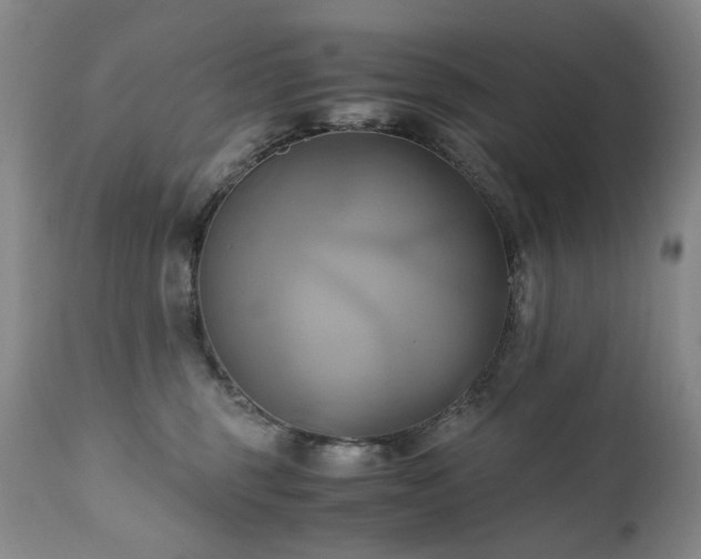 X0000110970375200906191341