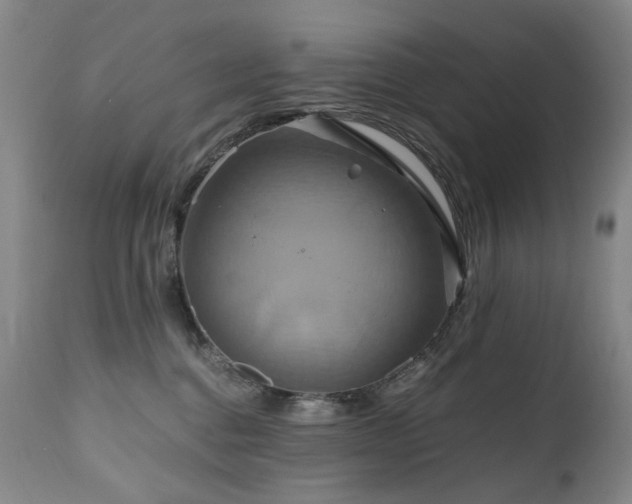 X0000110970376200906191341