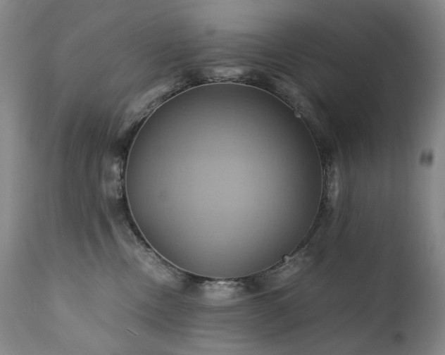 X0000110970378200906191341