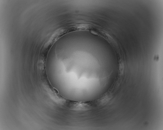 X0000110970379200906191341