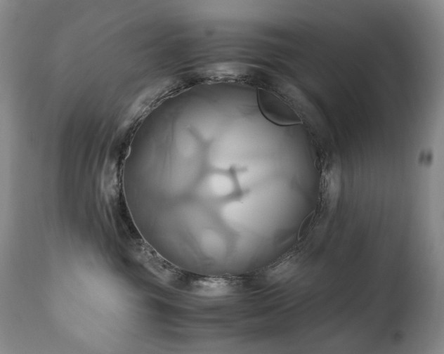 X0000110970381200906191341