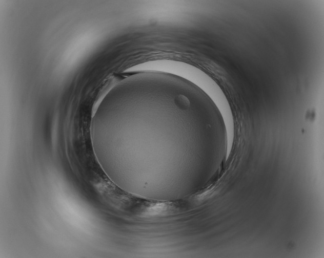 X0000110970382200906191341