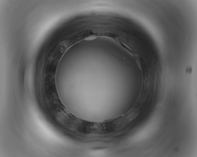 X0000110970383200906191341