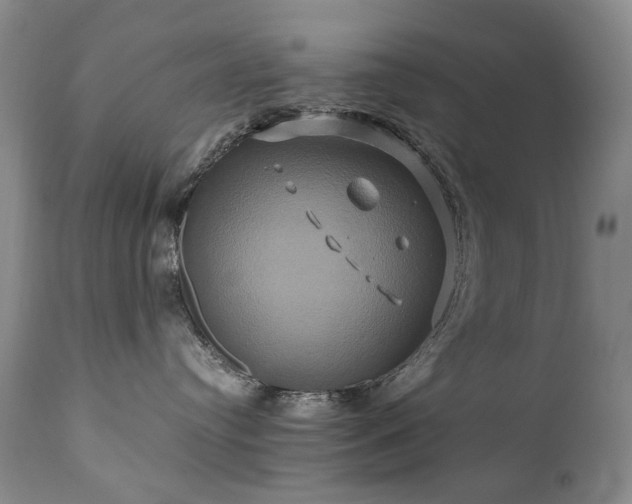 X0000110970384200906191341