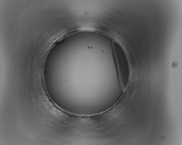 X0000110970385200906191340