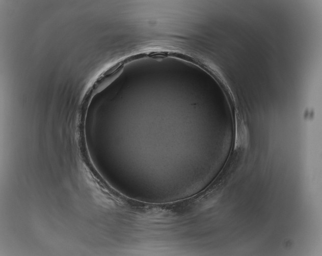 X0000110970387200906191340