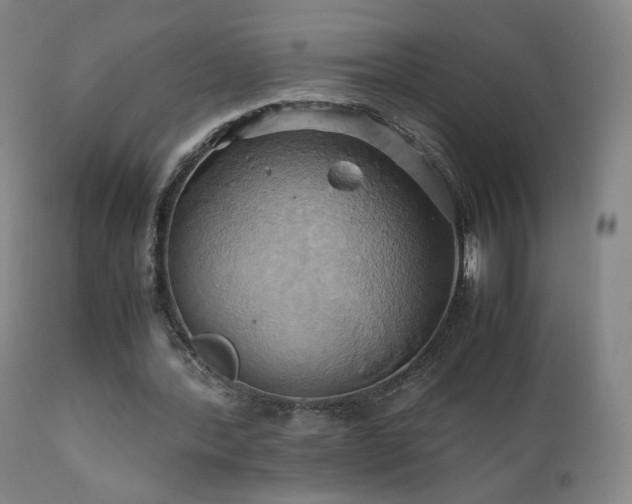 X0000110970388200906191340