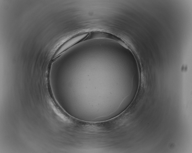 X0000110970389200906191340