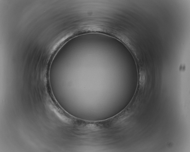 X0000110970390200906191340