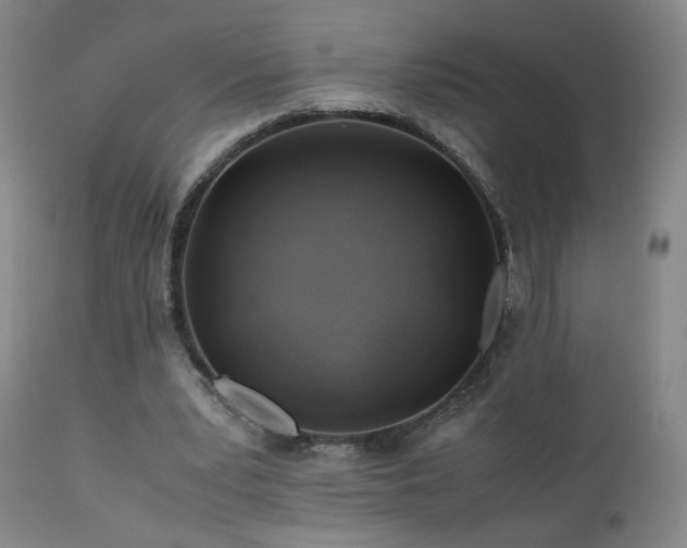 X0000110970391200906191340