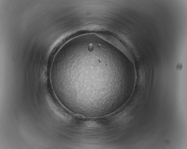 X0000110970392200906191340