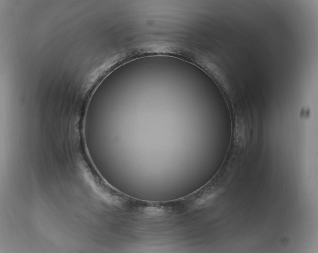 X0000110970394200906191340