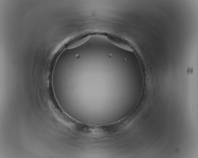 X0000110970395200906191340