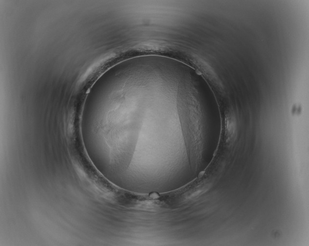 X0000110970396200906191340