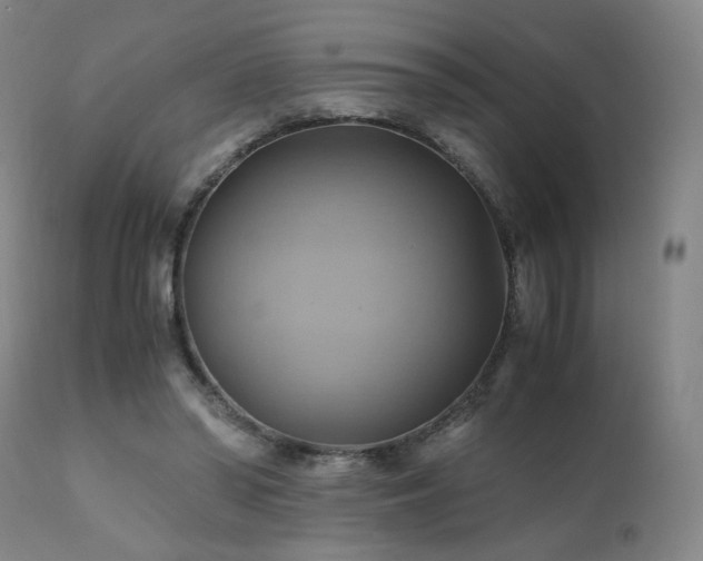 X0000110970398200906191340