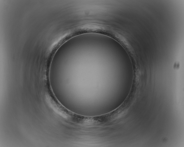 X0000110970399200906191340