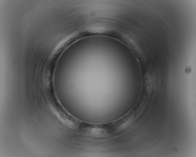 X0000110970400200906191340