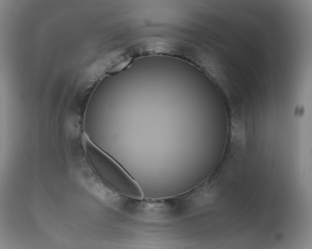 X0000110970401200906191340